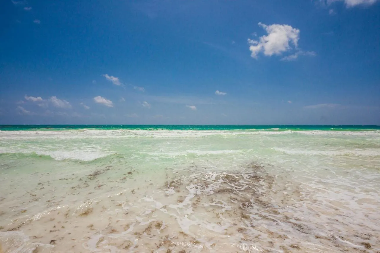 Luxury Beachfront Villa In Sian Kaan Tulum Holiday home